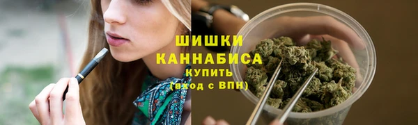 2c-b Каменка